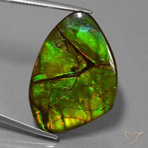 24.51ct Natürlicher Mehrfarbig Ammolith, Fantasie, Lichtundurchlässig