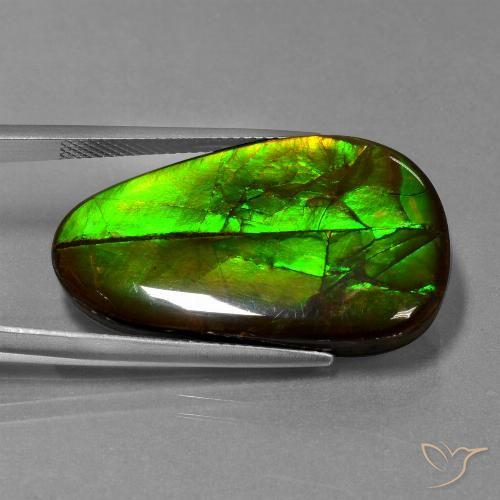 21.60ct Natürlicher Mehrfarbig Ammolith, Fantasie, Lichtundurchlässig