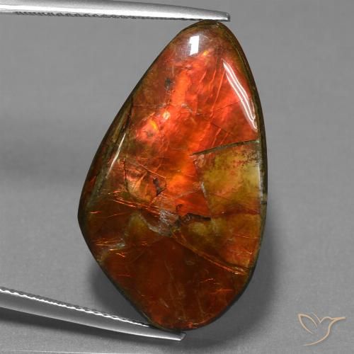 23.21ct Natürlicher Mehrfarbig Ammolith, Fantasie, Lichtundurchlässig