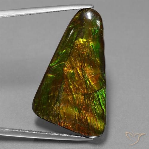23.06ct Natürlicher Mehrfarbig Ammolith, Fantasie, Lichtundurchlässig