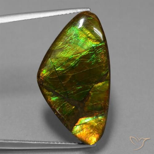 18.77ct Natürlicher Mehrfarbig Ammolith, Fantasie, Lichtundurchlässig