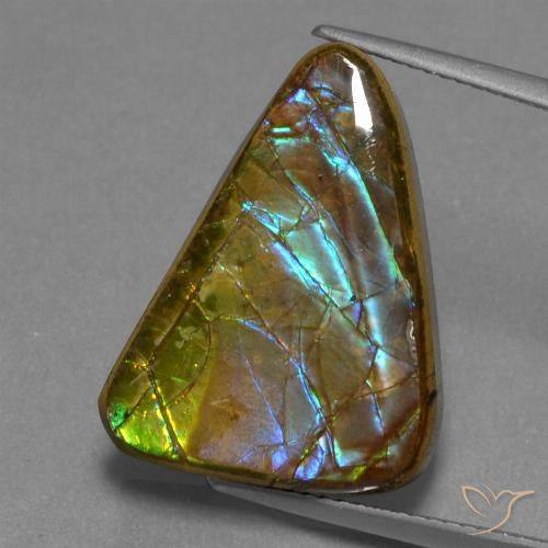 13.18ct Natürlicher Mehrfarbig Ammolith, Trillion, Lichtundurchlässig