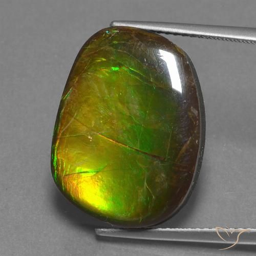 14.13ct Natürlicher Mehrfarbig Ammolith, Fantasie, Lichtundurchlässig