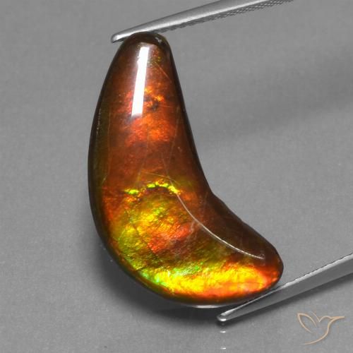 12.08ct Natürlicher Mehrfarbig Ammolith, Fantasie, Lichtundurchlässig