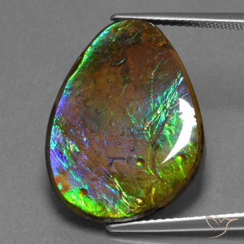 17.46ct Natürlicher Mehrfarbig Ammolith, Fantasie, Lichtundurchlässig