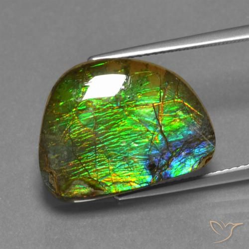 12.44ct Natürlicher Mehrfarbig Ammolith, Fantasie, Lichtundurchlässig