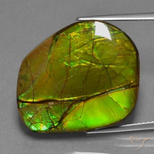 21.26ct Natürlicher Mehrfarbig Ammolith, Fantasie, Lichtundurchlässig