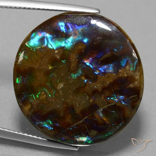 27.20ct Natürlicher Mehrfarbig Ammolith, Runden, Lichtundurchlässig