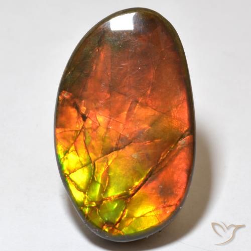 21.93ct Natürlicher Mehrfarbig Ammolith, Fantasie, Lichtundurchlässig