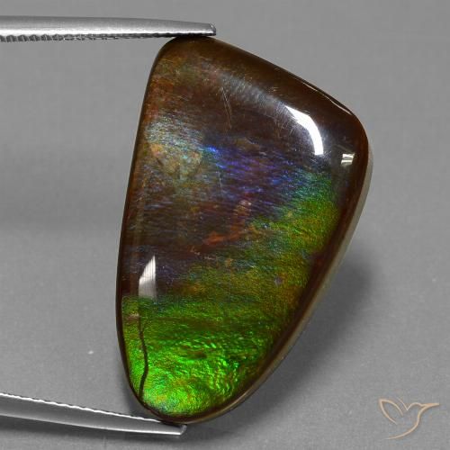 22.78ct Natürlicher Mehrfarbig Ammolith, Fantasie, Lichtundurchlässig