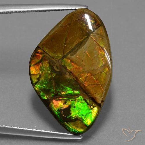 18.98ct Natürlicher Mehrfarbig Ammolith, Fantasie, Lichtundurchlässig