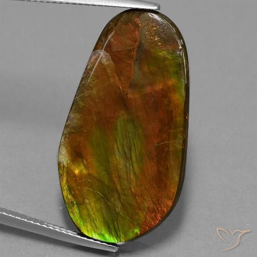 18.71ct Natürlicher Mehrfarbig Ammolith, Fantasie, Lichtundurchlässig