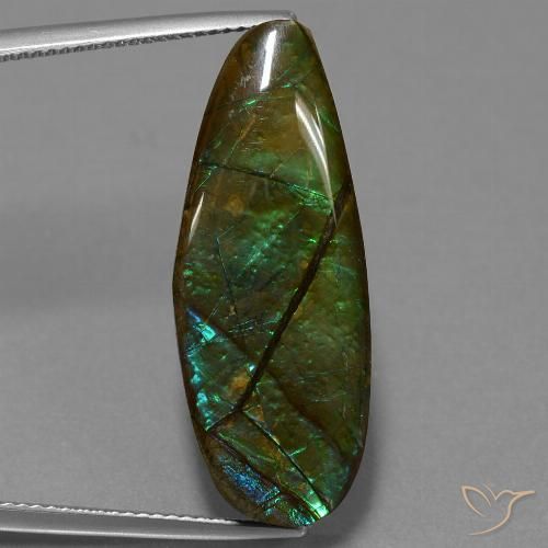 14.36ct Natürlicher Mehrfarbig Ammolith, Fantasie, Lichtundurchlässig