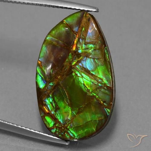 18.19ct Natürlicher Mehrfarbig Ammolith, Fantasie, Lichtundurchlässig