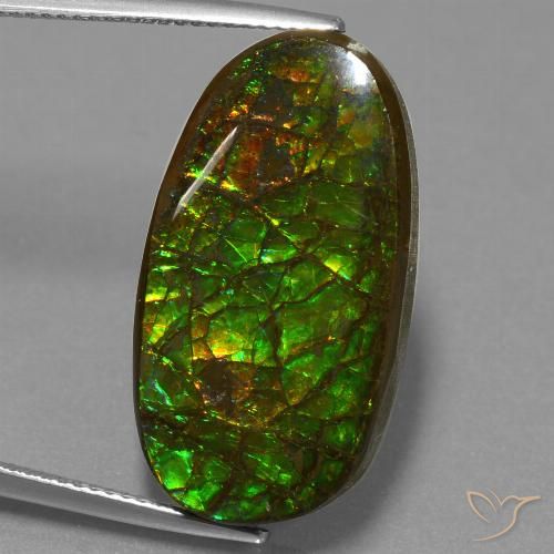 21.50ct Natürlicher Mehrfarbig Ammolith, Fantasie, Lichtundurchlässig