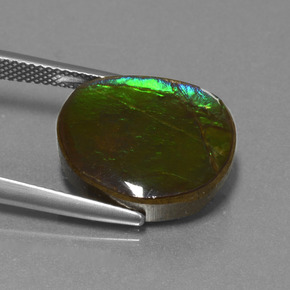 9,17 ctw natürlicher Mehrfarbig Ammolith, Ausgefallene Form, Lichtundurchlässig