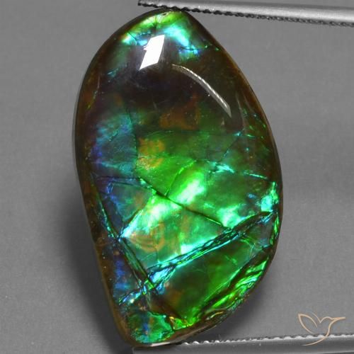 17.95ct Natürlicher Mehrfarbig Ammolith, Fantasie, Lichtundurchlässig