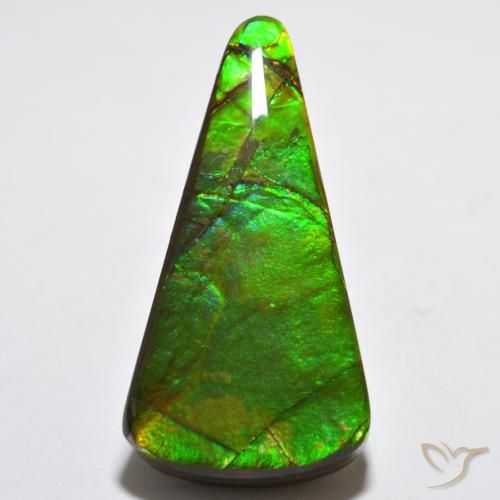 15.83ct Natürlicher Mehrfarbig Ammolith, Trillion, Lichtundurchlässig