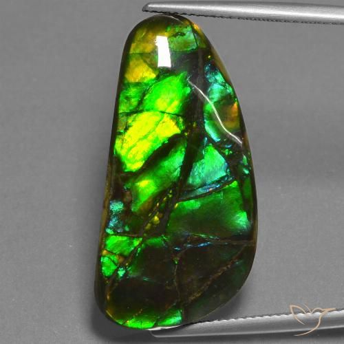 23.45ct Natürlicher Mehrfarbig Ammolith, Fantasie, Lichtundurchlässig