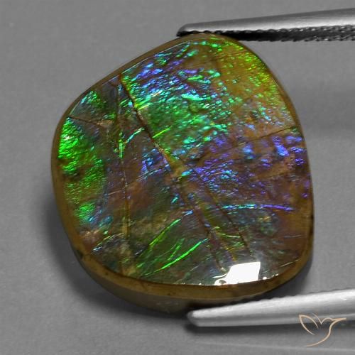 14.96ct Natürlicher Mehrfarbig Ammolith, Fantasie, Lichtundurchlässig