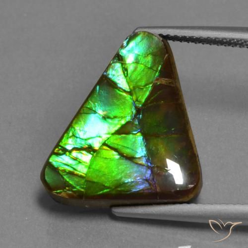 11.30ct Natürlicher Mehrfarbig Ammolith, Trillion, Lichtundurchlässig