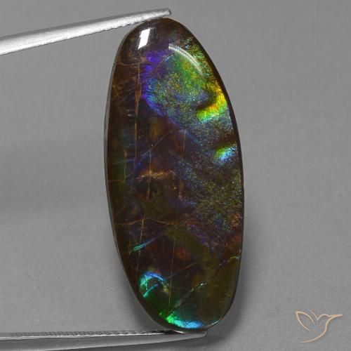 22.01ct Natürlicher Mehrfarbig Ammolith, Oval, Lichtundurchlässig