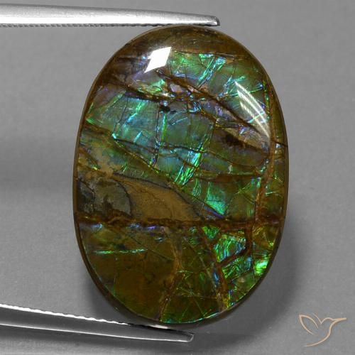 18.60ct Natürlicher Mehrfarbig Ammolith, Oval, Lichtundurchlässig