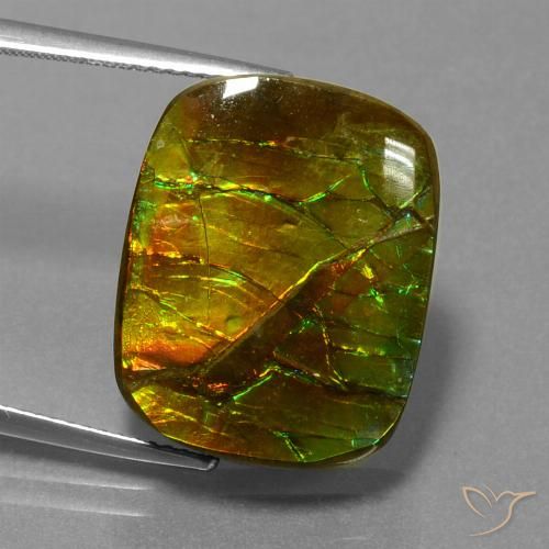 14.83ct Natürlicher Mehrfarbig Ammolith, Kissen, Lichtundurchlässig