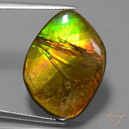 16.27ct Natürlicher Mehrfarbig Ammolith, Fantasie, Lichtundurchlässig