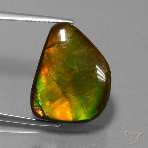 13.25ct Natürlicher Mehrfarbig Ammolith, Fantasie, Lichtundurchlässig