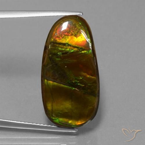15.26ct Natürlicher Mehrfarbig Ammolith, Fantasie, Lichtundurchlässig