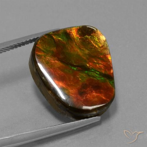 14.52ct Natürlicher Mehrfarbig Ammolith, Fantasie, Lichtundurchlässig