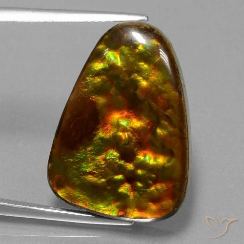 15.67ct Natürlicher Mehrfarbig Ammolith, Trillion, Lichtundurchlässig