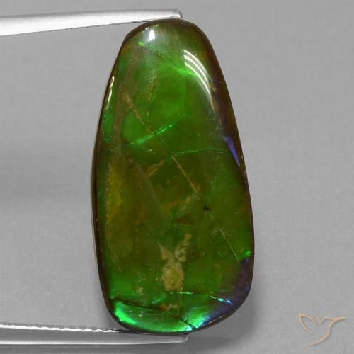 13.82ct Natürlicher Mehrfarbig Ammolith, Fantasie, Lichtundurchlässig
