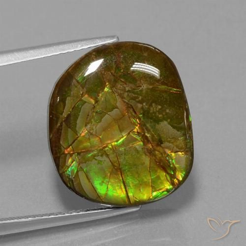 13.05ct Natürlicher Mehrfarbig Ammolith, Fantasie, Lichtundurchlässig