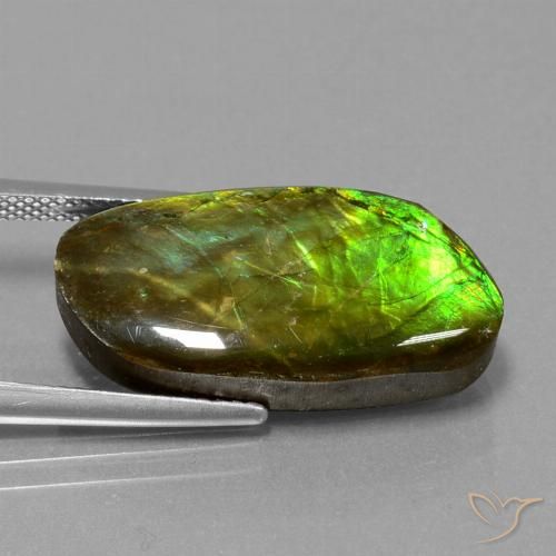 11.74ct Natürlicher Mehrfarbig Ammolith, Fantasie, Lichtundurchlässig