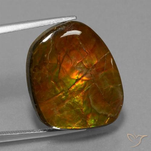 16.13ct Natürlicher Mehrfarbig Ammolith, Fantasie, Lichtundurchlässig