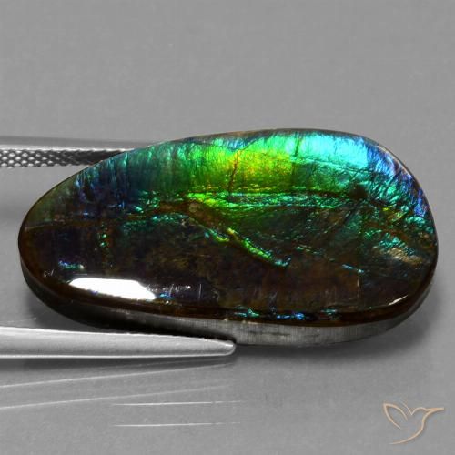 16.95ct Natürlicher Mehrfarbig Ammolith, Fantasie, Lichtundurchlässig