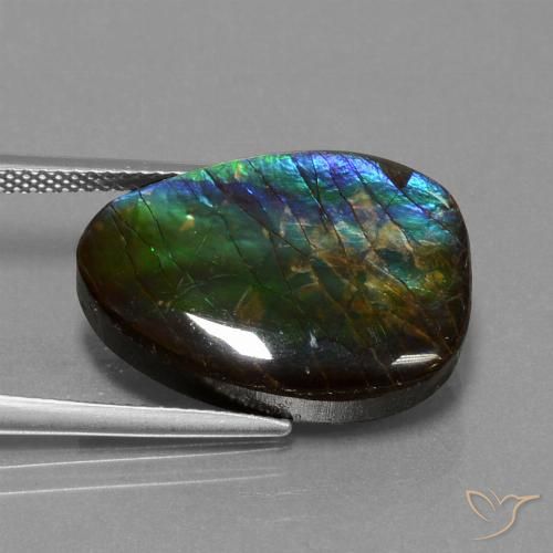 14.77ct Natürlicher Mehrfarbig Ammolith, Fantasie, Lichtundurchlässig