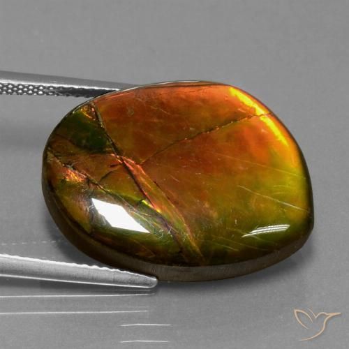 15.55ct Natürlicher Mehrfarbig Ammolith, Fantasie, Lichtundurchlässig