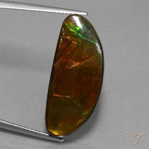 14.62ct Natürlicher Mehrfarbig Ammolith, Fantasie, Lichtundurchlässig