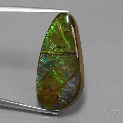16.23ct Natürlicher Mehrfarbig Ammolith, Fantasie, Lichtundurchlässig
