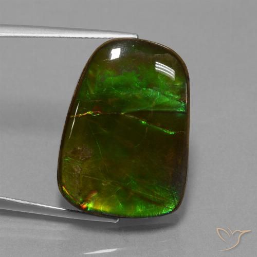 23.19ct Natürlicher Mehrfarbig Ammolith, Fantasie, Lichtundurchlässig