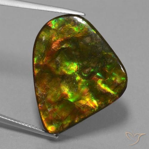 25.17ct Natürlicher Mehrfarbig Ammolith, Fantasie, Lichtundurchlässig