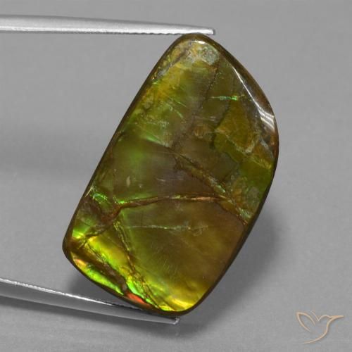 21.06ct Natürlicher Mehrfarbig Ammolith, Fantasie, Lichtundurchlässig