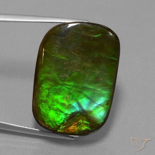 21.97ct Natürlicher Mehrfarbig Ammolith, Kissen, Lichtundurchlässig