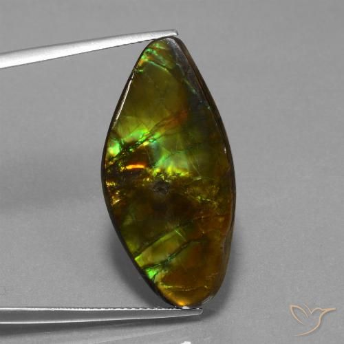 19.04ct Natürlicher Mehrfarbig Ammolith, Fantasie, Lichtundurchlässig