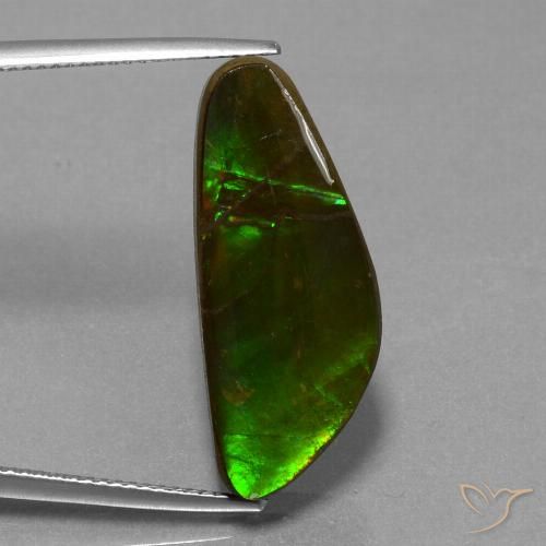 10.78ct Natürlicher Mehrfarbig Ammolith, Fantasie, Lichtundurchlässig