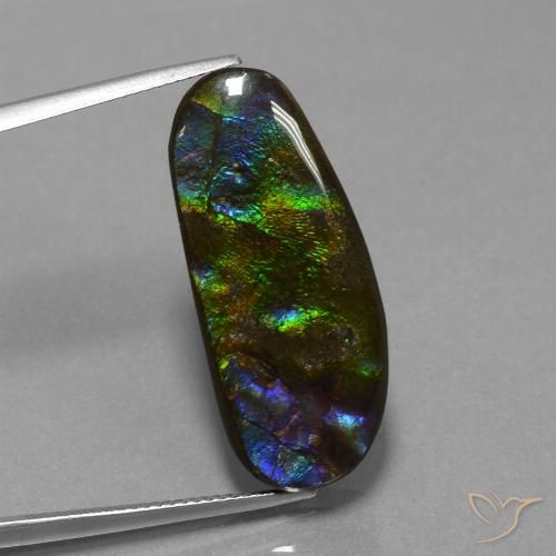 16.37ct Natürlicher Mehrfarbig Ammolith, Fantasie, Lichtundurchlässig