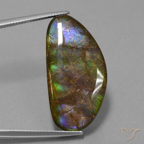 26.24ct Natürlicher Mehrfarbig Ammolith, Fantasie, Lichtundurchlässig